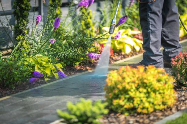 Best Pre-Holiday Cleaning  in Hurstbourne, KY